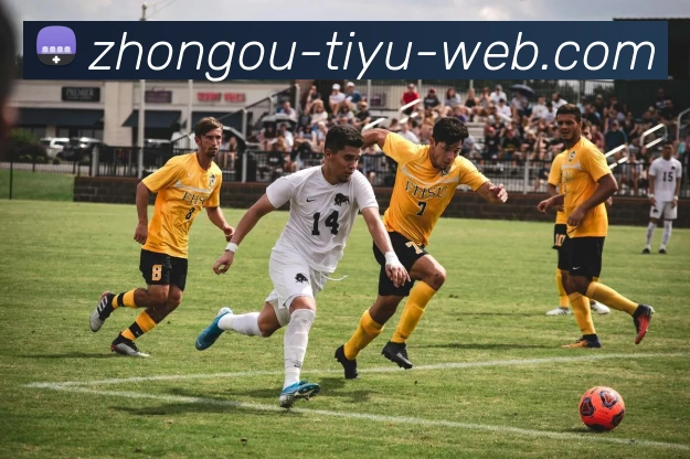 中欧体育APP 高清赛事图