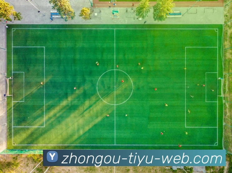 体育数据展示